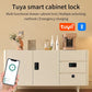 Smart Finger Print Draw Lock